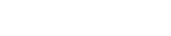 van santvoort website logo wit 01